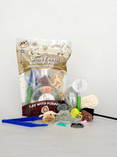 Load image into Gallery viewer, Dinosaur Fossil Sensory Play Dough Kit