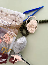 Load image into Gallery viewer, Dinosaur Fossil Sensory Play Dough Kit