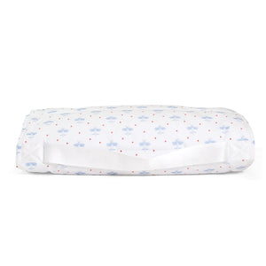David's Airplane Nap Mat