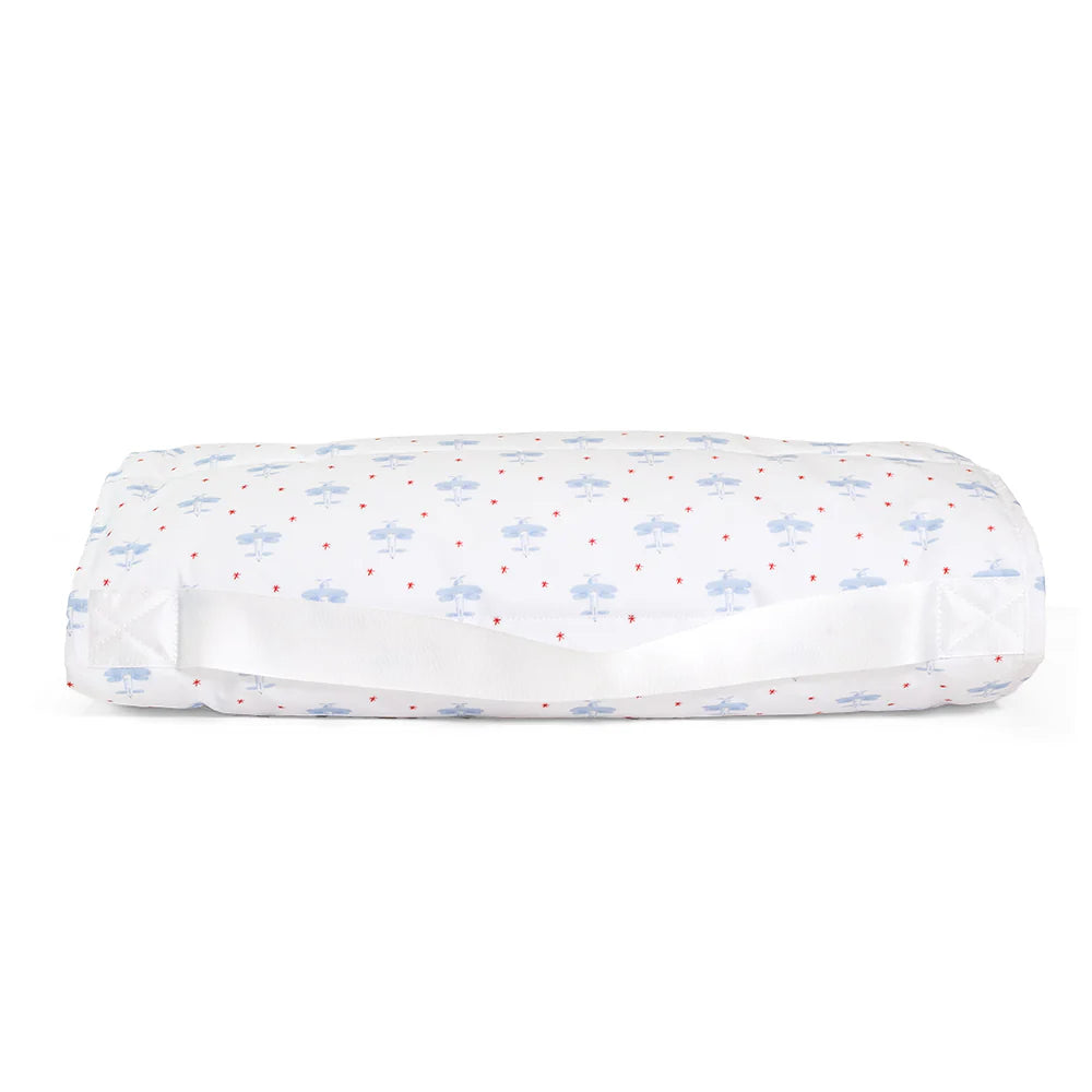 David's Airplane Nap Mat