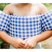 Load image into Gallery viewer, Blue Gingham Floatie Cover